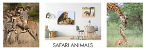 Safari Animals