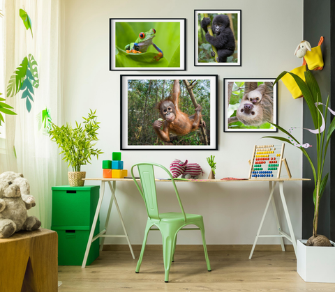 Jungle Animals Nursey Theme