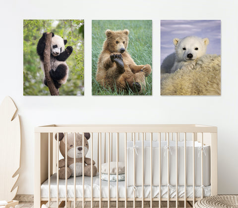 Bears Nursery Theme