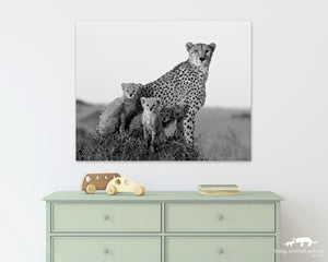 Cheetah Family Portrait