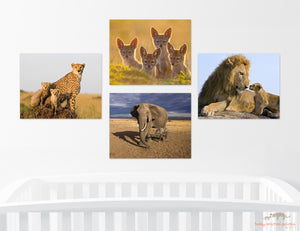 Growing Up Safari Photo Set (Color)