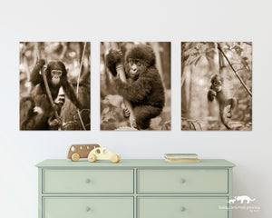 Jungle Baby Animals Photo Set (Sepia)
