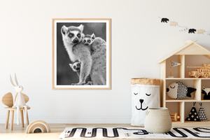 Baby Ring-Tailed Lemurs Photo