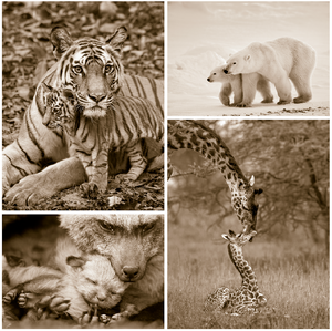 Mom and Baby Animal Print Set  in Sepia