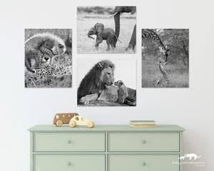 Safari Baby Animals Photo Set (Black and White)