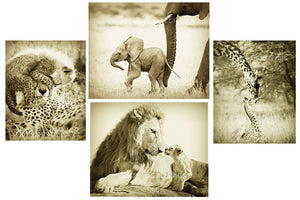 safari animal greeting cards in sepia