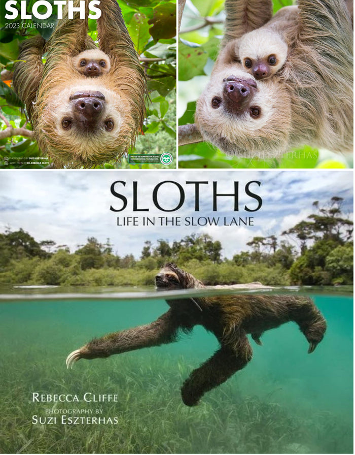 Sloth Lovers Bundle