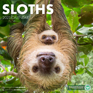 Sloth Lovers Bundle
