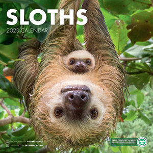 Sloths 2023 Wall Calendar