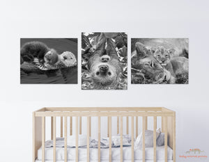 Snuggle Baby Animals Photo Set (Black and White)