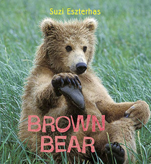 baby brown bear book