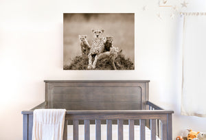 cheetah mom and three cubs in sepia photo over crib