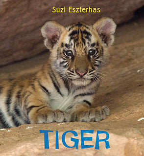 Children's Book, "Eye on the Wild" ⎯ Tiger