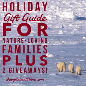 Gift Guide for Nature-Loving Families & 2 Giveaways