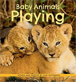 Why do Baby Animals Play?