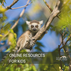 Online Resources for Kids