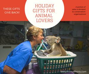 Gifts that Give Back for Animal Lovers
