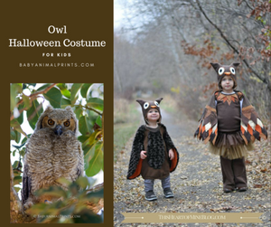 4 Adorable Homemade Animal Halloween Costumes for Your Kid