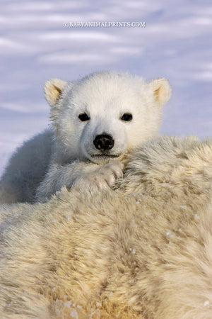 Kids Can Fight Climate Change