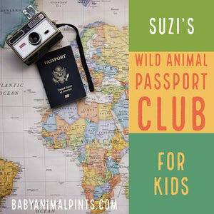 Suzi's Wild Animal Passport Club for Kids