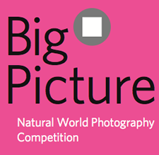 Big Picture Natural World Photography Competition