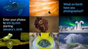 Big Picture Natural World Photography Competition