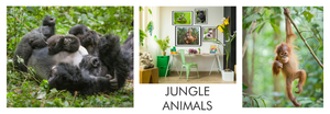 Jungle Animals