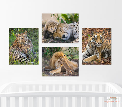 Big Cats Animal Nursery Theme