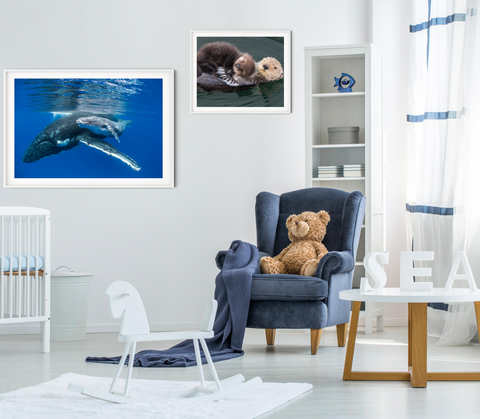 Ocean Animals Nursery Theme