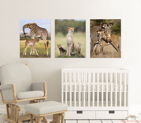 Safari Animals Nursery Theme Image 