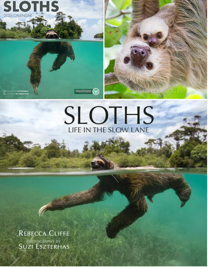 Sloth Lovers Bundle