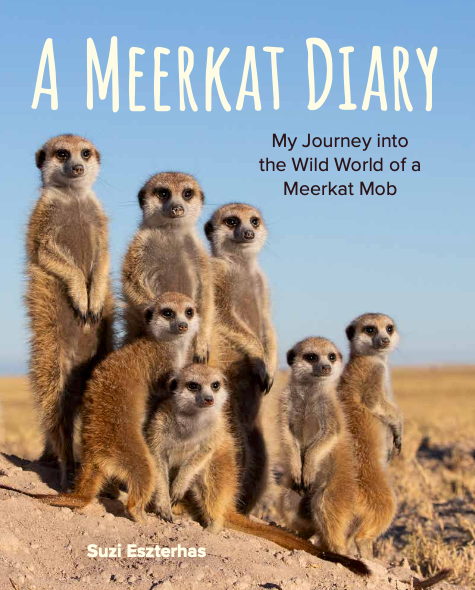 Children's Book, A Meerkat Diary