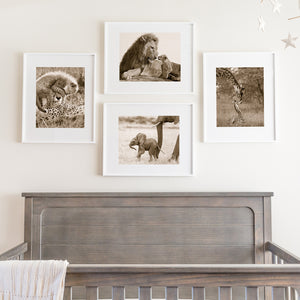safari animal sepia prints over crib