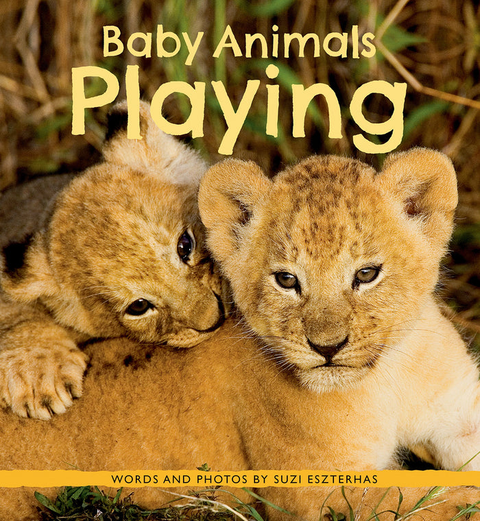 Children's Book, Baby Animals Playing
