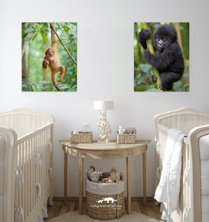 Ape Duo Photo Set (Color)