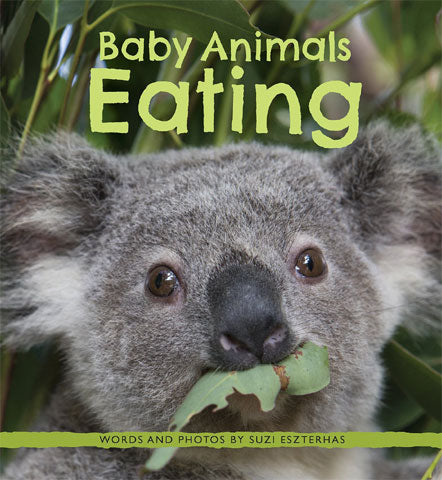 Children's Book, Baby Animals Eating