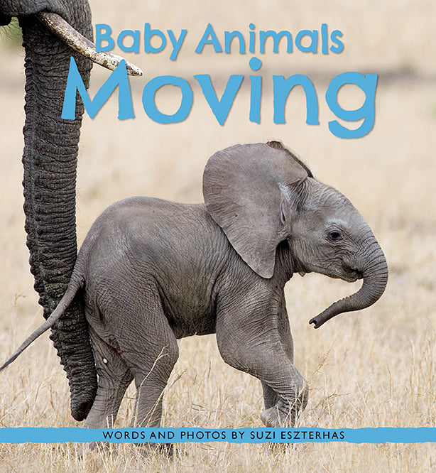 Children's Book, Baby Animals Moving