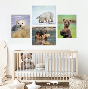 Mom and Baby Polar Bear Photo
