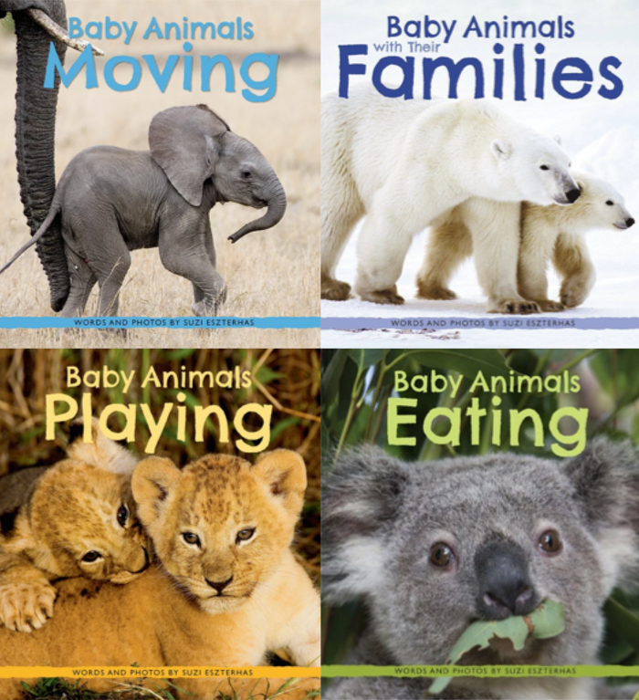 Children's Books, "Baby Animals" ⎯ Complete Set