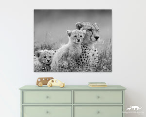 Sweet Cheetahs Photo