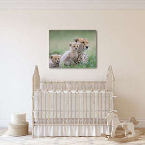 Sweet Cheetahs Photo