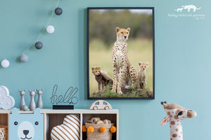 Cheetah Mom and Two Cubs Photo