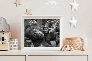 Mom and Baby Chimp Playing Photo
