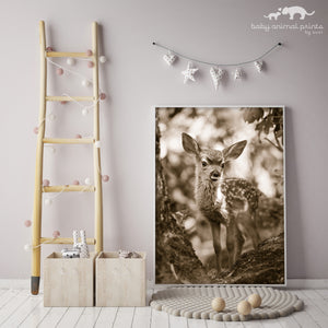 Sweet Fawn Photo