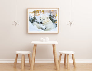 Polar Bear Mother and Cubs Photo