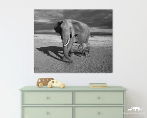 Baby Elephant and Mom Photo