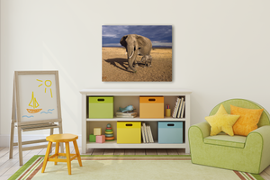 Baby Elephant and Mom Photo
