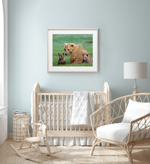 Mom and Baby Bears Photo