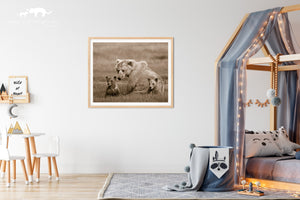 Mom and Baby Bears Photo
