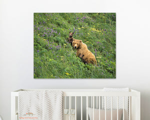 Mom and Baby Bears in Flowers Photo